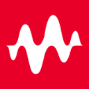 ESI Visual-Environment logo